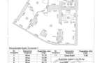 Spatiu Comercial Stradal-Piata Alba Iulia - 7