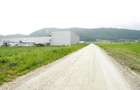Teren  pentru hale-Ghimbav- Joysonquin,25000mp - 8