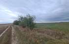 Oază de Natură și Potențial: Teren de 48.100 mp lângă Delta din Carpați - 8