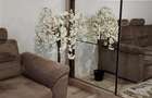 Apartament 1 camera Lunca Cetatuii - Astoria - 3
