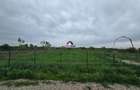 Teren 5600 mp Snagov Lac - 5