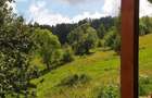 Cabana de vanzare, 8000 mp teren intravilan. Plopi - 2