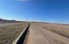 REL4000892 Corbeana - Ostratu 15200 mp langa padure - 4