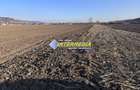 Teren intravilan de vanzare in Sard suprafete 600-800 mp - 3