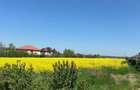 Teren intravilan 26.300 mp Saftica Balotesti - PUZ în lucru - 21