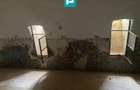 Conac nobiliar de secol XIX cu 8 camere în Maciova - 26