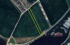 Teren intravilan Balotesti / 5.000 mp / D: 18 m / langa lac / comision 0% - 3