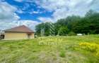 Spatii productie si depozitare, zona Sebis - Prunisor-Carand - 16