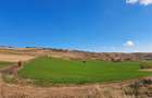 Teren agricol de vanzare  - 7