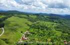 TEREN 19.822 MP, CADRU NATURAL MINUNAT - 21