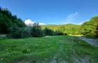 Teren in muntii Ciucas– Locație de Vis cu PUZ Aprobat - 6