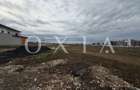 OX701 Terenuri Zona Buziasului | langa Hornbach - 3
