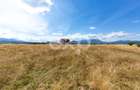 Teren intravilan 1.065 mp | Valea Glăjăriei – Râșnov | 40 €/mp - 5