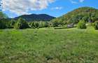 Teren intravilan,cadru natural de poveste,zona Scaricica-Gloduri.com.Al.cel Bun - 2