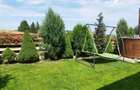 Casa 5 camere, teren 350 mp, 120 mp, Marisel - 16