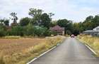 The Forest Collection -LOT 500mp- Strada asfaltata | Padurea Snagov -Ciofliceni - 8