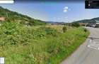 Teren 7.000mp intravilan construibil, front 160ml DN57- Eselnita, la Dunare - 11