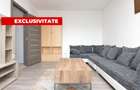 INCHIRIERE APARTAMENT 2 CAMERE PIATA MUNCII-VICTOR BABES - 6