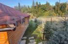 Cabana din lemn rotund, 2 camere, 140 mp, teren 2800 mp, Paltinoasa - 6