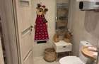 Garsoniera | Aviatiei | Promenada Mall | Metrou Aurel Vlaicu - 21