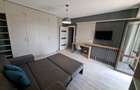 Apartament cu 1 camera in Tudor Vladimirescu-Rivers Towers - 3