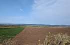 Sărata- lângă Mun. Bacău- 4000 mp- oportunitate investiție - 3