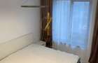 Apartament deosebit cu 2 camere | Torontalului - 6
