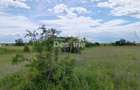 Teren extravilan, 114000 mp, Parc industrial West Park - 18
