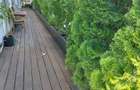 penthouse 3 camere | terasa 80 mp | Domenii | Turda - 24