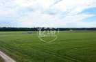 OPORTUNITATE INVESTIȚIE:Teren intravilan 25.000mp Dascălu-Pădure, parcelabil - 9