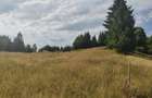 teren Colibita - 2 hectare - acces direct din drumul 173 D - 5