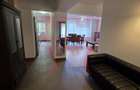 Inchiriere apartament 4 camere recent renovat in Plopilor Vest + garaj - 4