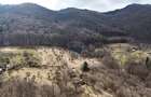 10.51 Euro + TVA / mp: Teren Bran Predelut, 24.253 mp, intravilan - 5