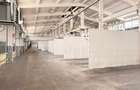 Hală industrială de vânzare / închiriere – suprafață mare, acces facil! - 18