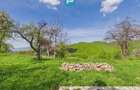 Casă pitorească de vacanță în Dulcele - 15