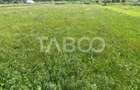 Teren intravilan de vanzare 3450 mp Boita 35 m deschidere langa A1 - 1