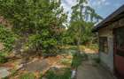CHIAJNA - CASA RENOVABILA 129 MP, LOT 690 MP! - 18