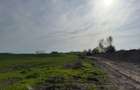 TEREN INTRAVILAN 3700MP METROU BERCENI - 5