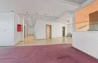 Showroom de vanzare, Calea Romanului - Bacau - 9