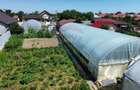 Proprietate 2.229 mp cu Dotări pentru Afacere Florală - 12