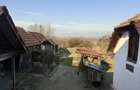 Proprietate rară – 2 case + livadă, vie și teren generos, la 20 km de Târgu Jiu - 4