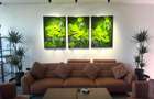 2 camere | Parcare | Mobilat, Utilat | One North Lofts - 4