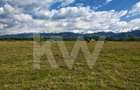 Teren 21.573mp, front 516m, view munte. Utilități în zonă. Hai la vizionare! - 1