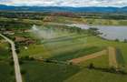 Teren superb Unciuc / jud.Hunedoara - 4