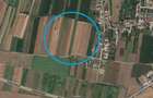 Teren Caracal / Str. Salcamului, 3.585 mp, 7 EUR / mp, comision 0% - 3