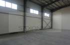 Hala depozitare sau productie   Drumul intre Tarlale,  600MP - 8