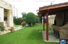 Vila cu 5 camere de vanzare, zona Traian, 352.1 mp #15219 - 4