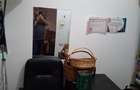 3camere Calarasi Pictor Romano Casa Bessler - 17