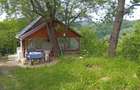 Proprietate de vanzare in Golești - 10800 mp teren și două case - 4