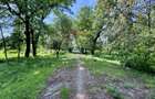 DOMENIU EXCLUSIVIST DE VANZARE – URLATI, PRAHOVA - 2